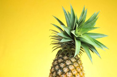 Parlak sarı arka planda ananas. Taze ananas.