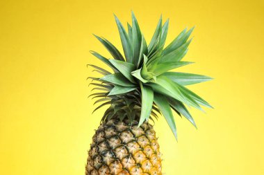 Parlak sarı arka planda ananas. Taze ananas.
