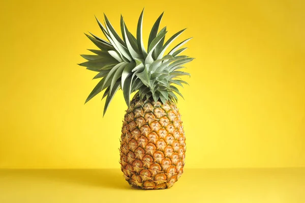 Parlak sarı arka planda ananas. Taze ananas.