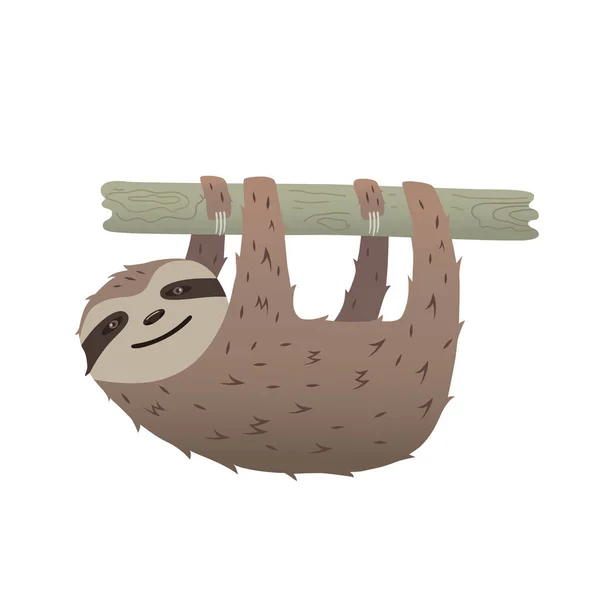 Sloth accroché à une branche . — Image vectorielle