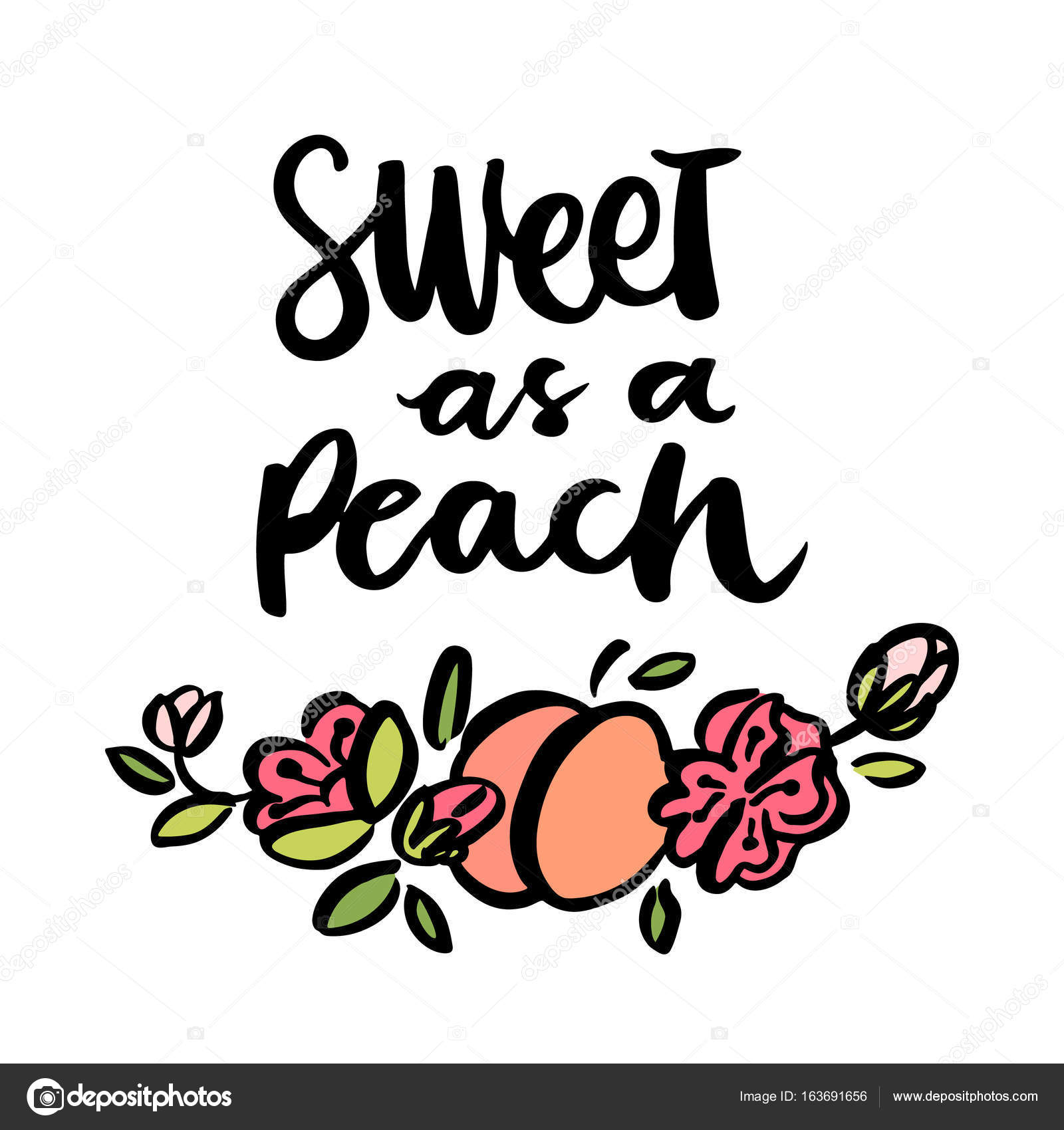 The calligraphic quote "Sweet as a peach" — Stock Vector ...