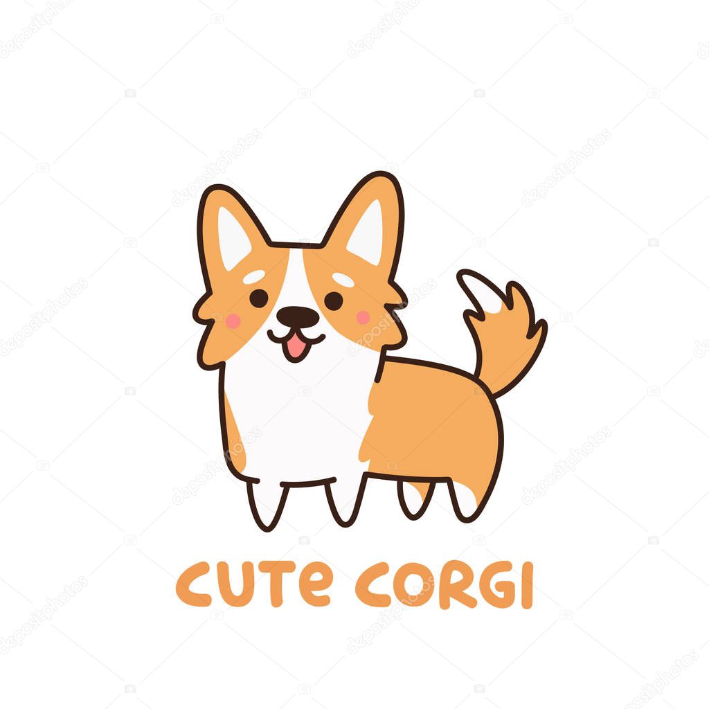 Cute dog breed welsh corgi.