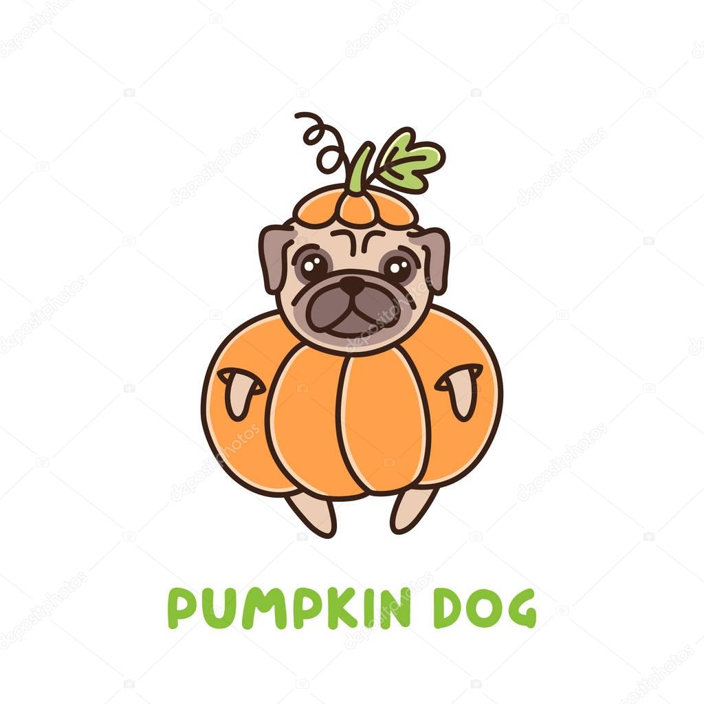 Cute dog of pug breed in a pumpkin costume.