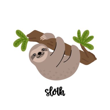 Beyaz arka planda izole edilmiş hayvan tembelliği. Ev dekorasyonu, kart, kupa, broşür, poster, tişört vs. için güzel hayvan baskısı. Modern vektör illüstrasyonu.