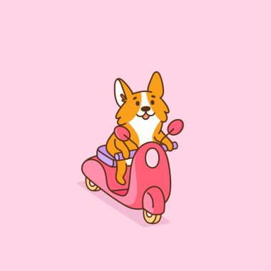 Şirin Corgi köpeği pembe bir motosiklete biniyor. Kart, broşür, poster, çıkartma gibi şeylerde kullanılabilir. Pembe arkaplanda vektör resmi izole edildi.