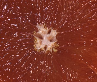 Greyfurt dilimi dokusu, yakın plan, narenciye. Kırmızı greyfurt makrosu. Taze greyfurt desenli arka plan, makro. Sağlıklı yiyecekler. Seçici odak.