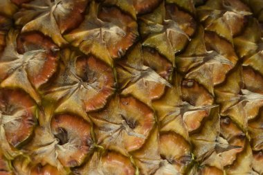 Ananas meyvesi yakın plan. Elma derisi dokusu. Kabuk. # Ananas kabuğu kokusu #.
