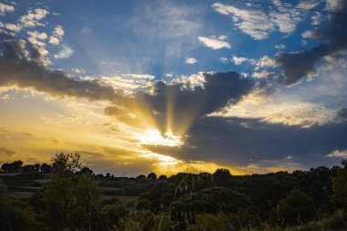 Yeşil bir tarlanın üzerinde güzel bir günbatımı. Güneş ışınları bulutların arasından geçip gidiyor.
