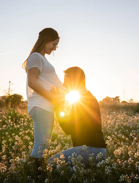 Young Pregnant Couple Man Kissing Belly White Flowers Field Sunset — Stock Photo, Image