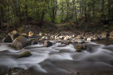 Savegre River, San Gerardo de Dota. Quetzales National Park, Costa Rica. The cleanest river in Central America.