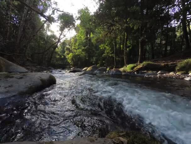 Rzeka Savegre San Gerardo Dota Park Narodowy Quetzales Kostaryka Najczystsza — Wideo stockowe