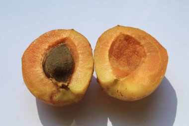 Beyaz arka planda dilimlenmiş kayısı.