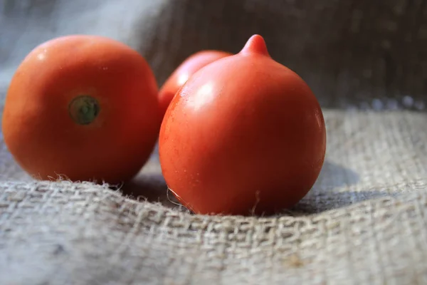 Tomates Pedaço Pano — Fotografia de Stock