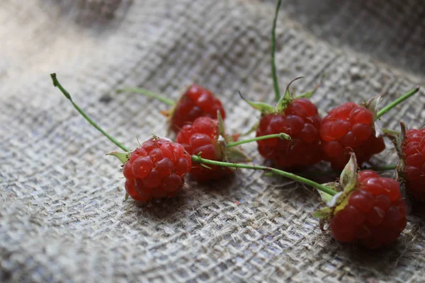 Raspberry Beri Pada Sepotong Kain — Stok Foto