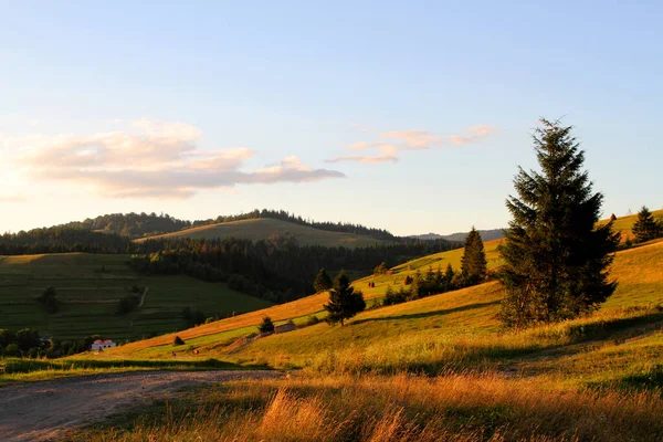 Horská Vesnice Silnice Svazích Paprscích Zapadajícího Letního Slunce Horská Krajina — Stock fotografie