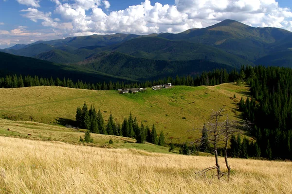 Prato Alpino Con Case Nel Bosco Sulle Pendici Delle Montagne — Foto Stock
