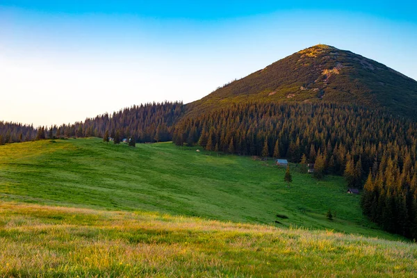 Alpine meadow at sunset in the mountains. Green meadow with houses at the foot of the mountain at sunset in summer. Alpine meadow illuminated by the rising sun against the backdrop of the forest and the top of the mountain covered with stones and for