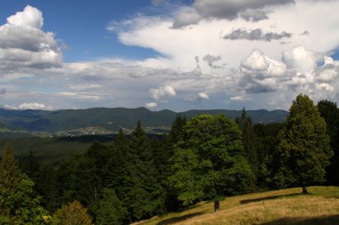 Orman, dağlarda, yaz güneşinin altında. Dağ sıraları ve arka planda bir köy. Mavi yaz gökyüzünde dağların üzerinde hafif bulutlar.