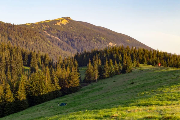 Tourist Tents Meadow Mountains Tourist Tents Clearing Coniferous Forest Mountainside — Stock Photo, Image