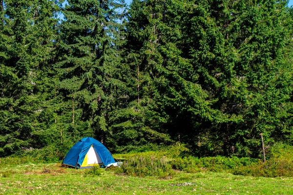 Tourist Tent Mountains Forest Tourist Tent Stands Clearing Mountains Green — Stock Photo, Image