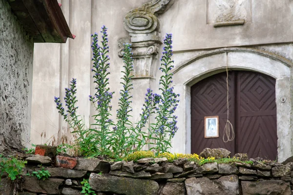 Flowers on a stone wall near the temple. Stone fence of an old church. Wooden door to christian temple.
