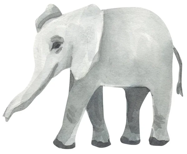 Elefante Mão Desenhada Aquarela Ilustração — Fotografia de Stock