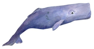 Balina suluboya el çizimi