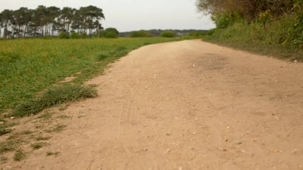 Gravel road with green field on the side — Stock Video