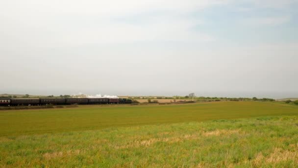 Tren de vapor histórico con paseos de humo blanco en el campo — Vídeo de stock