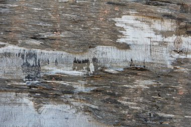 Masaüstü arkaplanı, Ağaç, Ahşap arkaplan, Çit, Ağaç dokusu