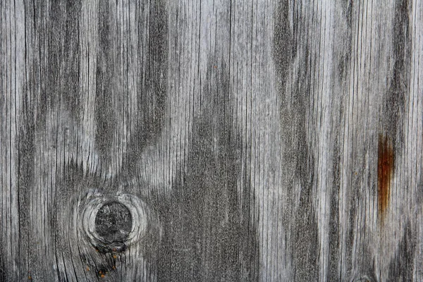 Desktop background, Tree, Wood background, Fence, Wood texture