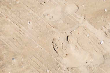 Sahilde altın kum arka planda. Kum dokusu. Altın kum. İnce kumdan arkaplan.