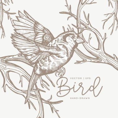 Klasik vektör yay kartı. Daldaki kuşlar. Tek renkli olsun. Çizgi çizimleri, mürekkep çizimleri, poster, sosyal medya, post, düğün, tekstil, tasarım şablonu için el çizimleri.