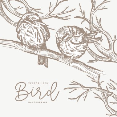 Klasik vektör yay kartı. Daldaki kuşlar. Tek renkli olsun. Çizgi çizimleri, mürekkep çizimleri, poster, sosyal medya, post, düğün, tekstil, tasarım şablonu için el çizimleri.