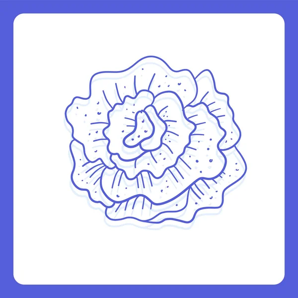 Padrão Sem Costura Doodle Rose Flowers Design Tecido Decoração Casamento — Vetor de Stock