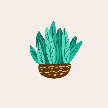 Saksı bitkileri. Sulu bitkiler ve ev bitkileri. El çizimi vektör sanatı. Ev içi bitki vektör karikatür kümesi.