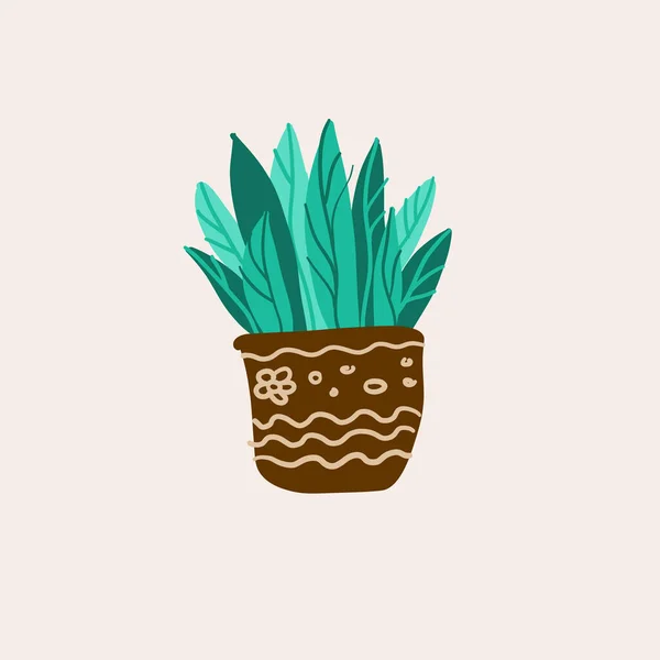 Plantas Maceta Suculentas Plantas Casa Arte Vectorial Dibujado Mano Conjunto — Vector de stock