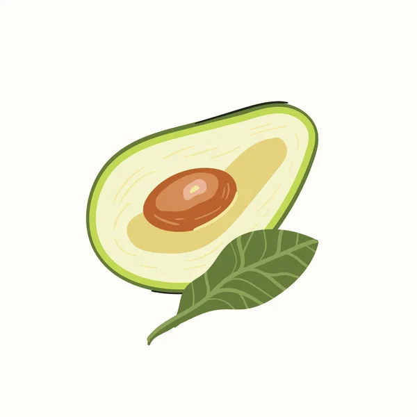 Aguacate Aislado Sobre Fondo Blanco Dibuja Mano Caricatura Escandinava Estilo — Archivo Imágenes Vectoriales