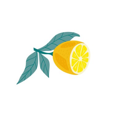 Limon. Beyaz arka planda izole edilmiş tropik yaz meyveleri. Citrus 'un el çizimi tarzı. Moda, iç mekan, kapak, tekstil veya arka plan için İskandinav İskandinav İskandinav tasarımı. 