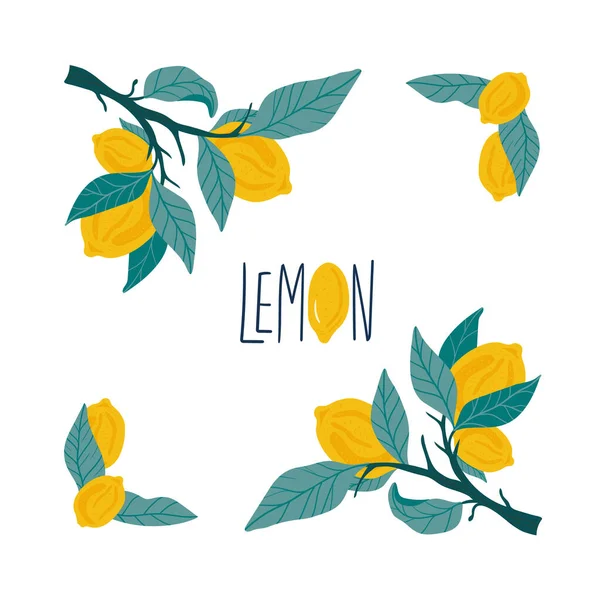 Lemonový Věnec Nebo Okraj Tropické Letní Ovoce Izolované Bílém Pozadí — Stockový vektor