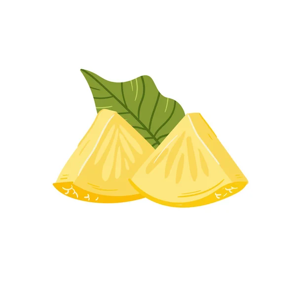Ananas Vorhanden Tropische Sommerfrüchte Isoliert Auf Weißem Hintergrund Zitrusfrüchte Handgezeichneten — Stockvektor