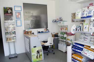 Veteriner köpek yavrusu.