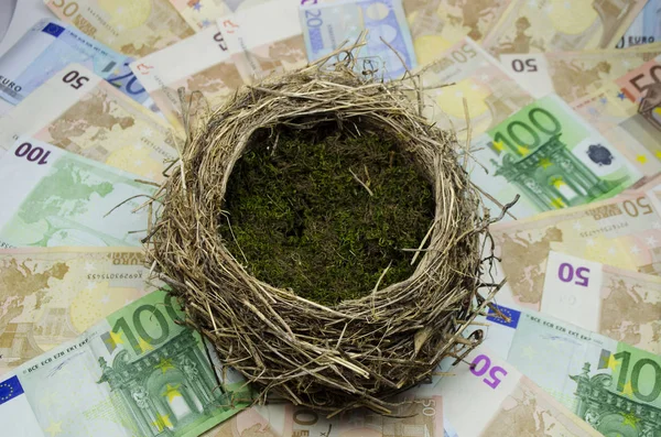 Empty Nest Egg Laying Bed Euro Money — Stock Photo, Image