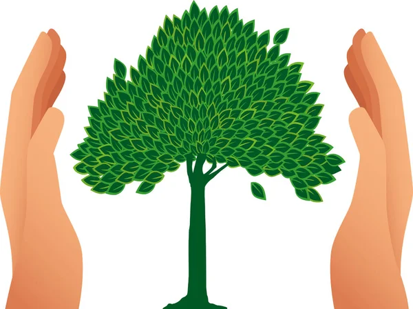 Векторная Иллюстрация Две Руки Заботятся Рисунке Дерева Концепция Окружающей Среды — стоковый вектор