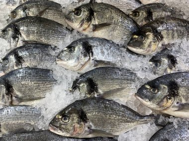 Buzun üzerinde birkaç taze Dorado leşi var. Yakın plan.