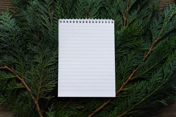 Ploché ležel novoroční rozlišení notebook leží na smrkových větvích. Místo pro text. — Stock fotografie