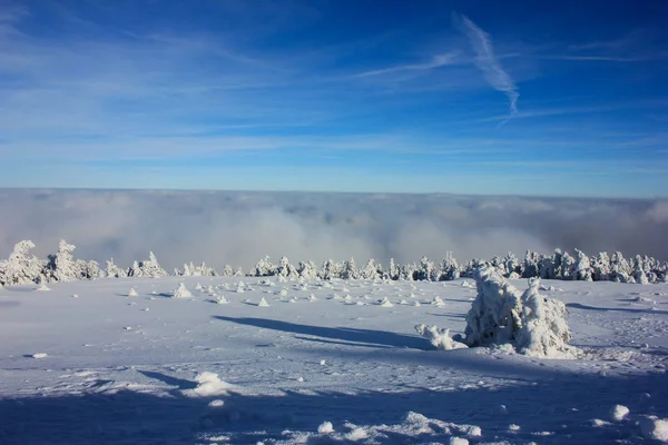 The top of Brocken Mountain in the Harz Park, Germany is bombarded with snow. Winter landscape at the top of the mountain and fog over a cliff. Royalty Free Stock Images