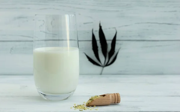 Ein Glas Hanf, Cannabismilch und einen Kochlöffel mit Samen in der Nähe. Im Hintergrund ist ein Hanfblatt zu sehen. weißer Hintergrund. Platz für Text — Stockfoto