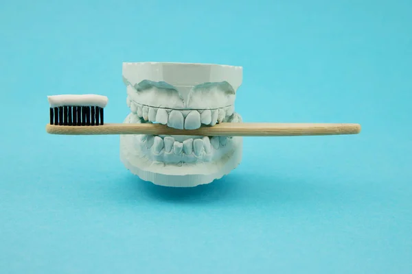 Modelo de yeso de la mandíbula con un cepillo de dientes natural de bambú y pasta de dientes ambiental. Cuidado de los dientes. Cuidado oral. Fondo azul —  Fotos de Stock
