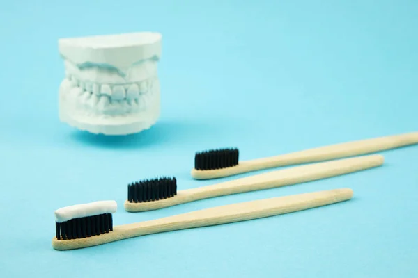 Bamboo toothbrushes with natural toothpaste lie on a blue background and next to the plaster model of the jaw. Oral care Orthodontist. — Stock Photo, Image